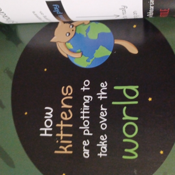 How to tell if your cat is plotting to kill you - Picture 11 of 12